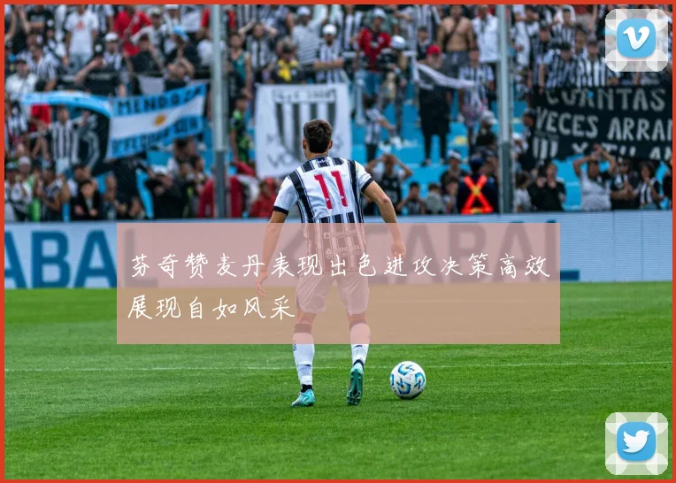 芬奇赞麦丹表现出色进攻决策高效展现自如风采