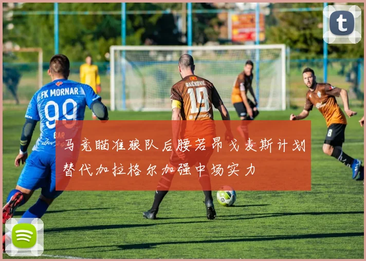 马竞瞄准狼队后腰若昂戈麦斯计划替代加拉格尔加强中场实力